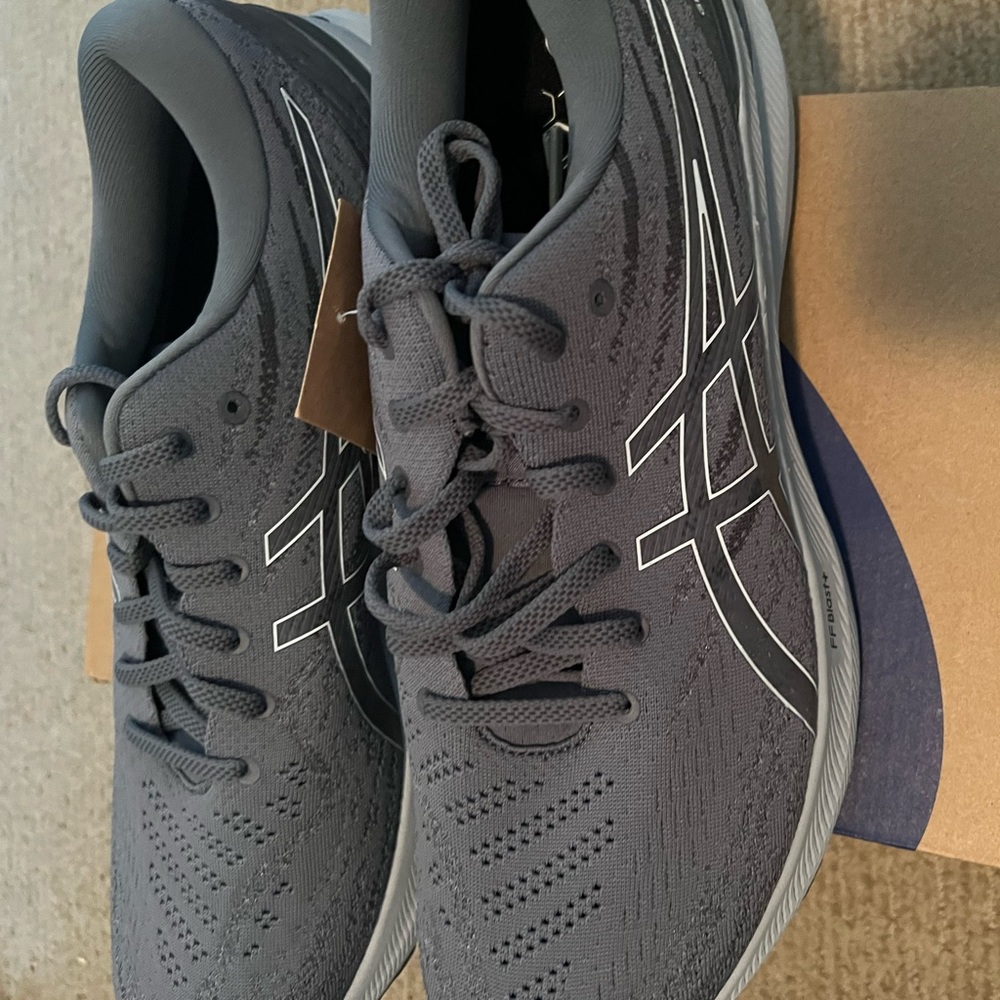 NWT ASICS Kayano 29